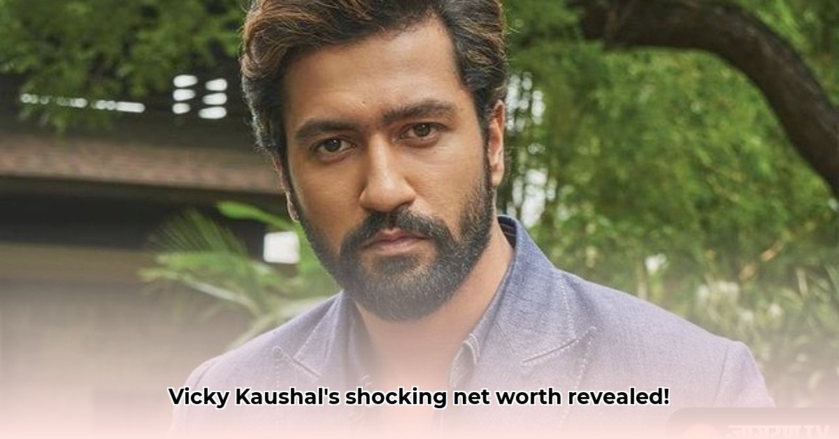 vicky-kaushal-net-worth